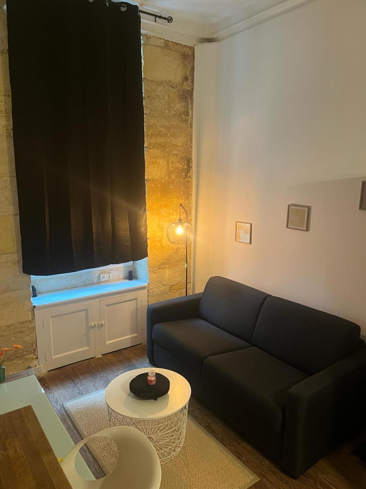 Bel Appartement Avec Mezzanine En Plein Centre De Bordeaux Eksteriør billede