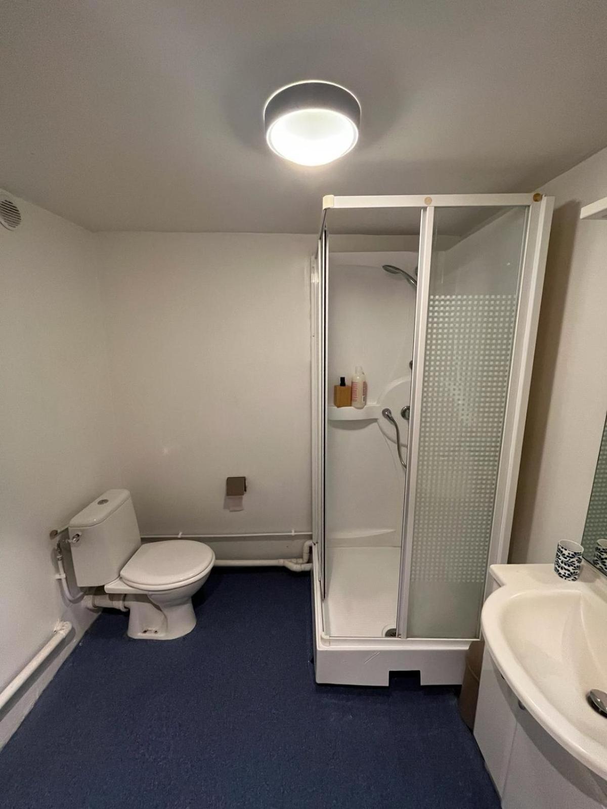 Bel Appartement Avec Mezzanine En Plein Centre De Bordeaux Eksteriør billede