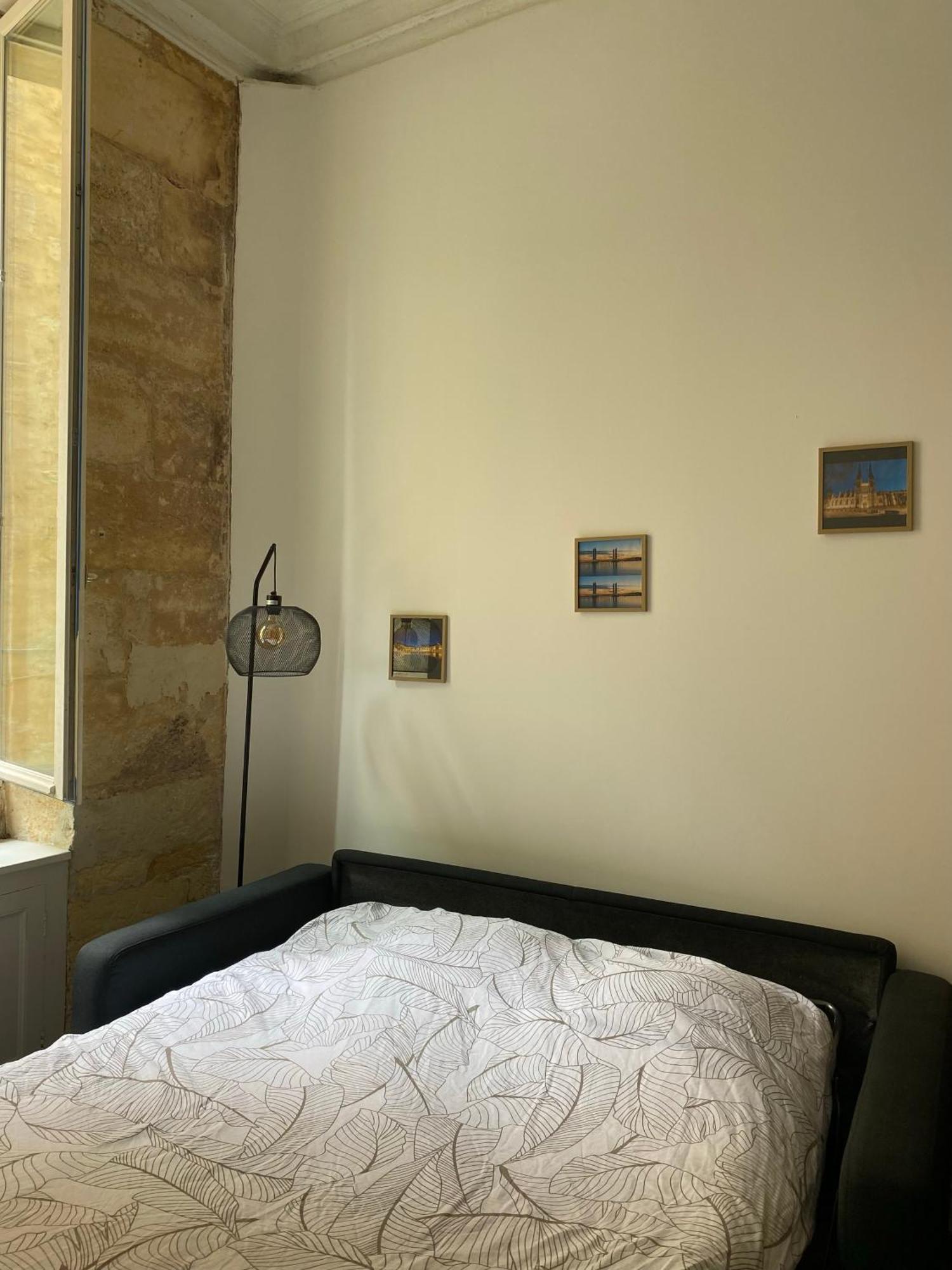 Bel Appartement Avec Mezzanine En Plein Centre De Bordeaux Eksteriør billede